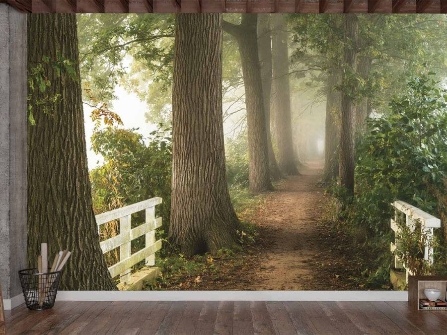 Nature Trail Wallpaper, as seen on the wall of this library, is a photo mural of a foggy tree lined path with white gates from About Murals.