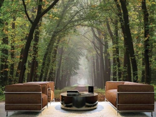 Path Wallpaper, as seen on the wall of this living room, is a photo mural of a beautiful tree lined road from About Murals.