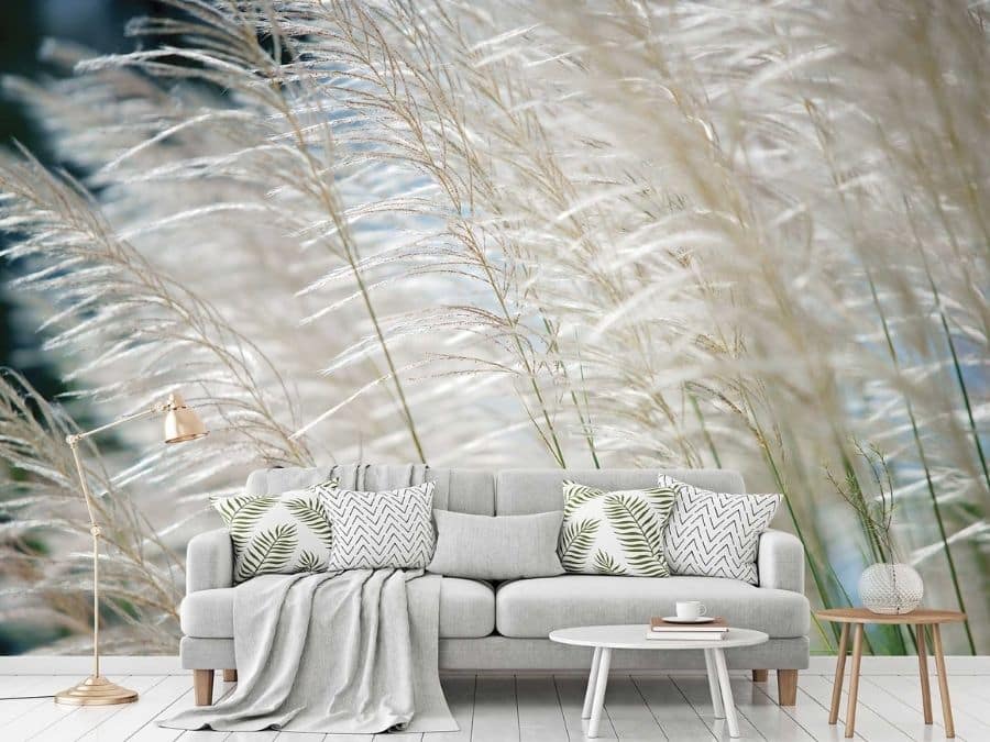 Reeds Wallpaper, as seen on the wall of this living room, is a photo mural of beige ornamental grass from About Murals.