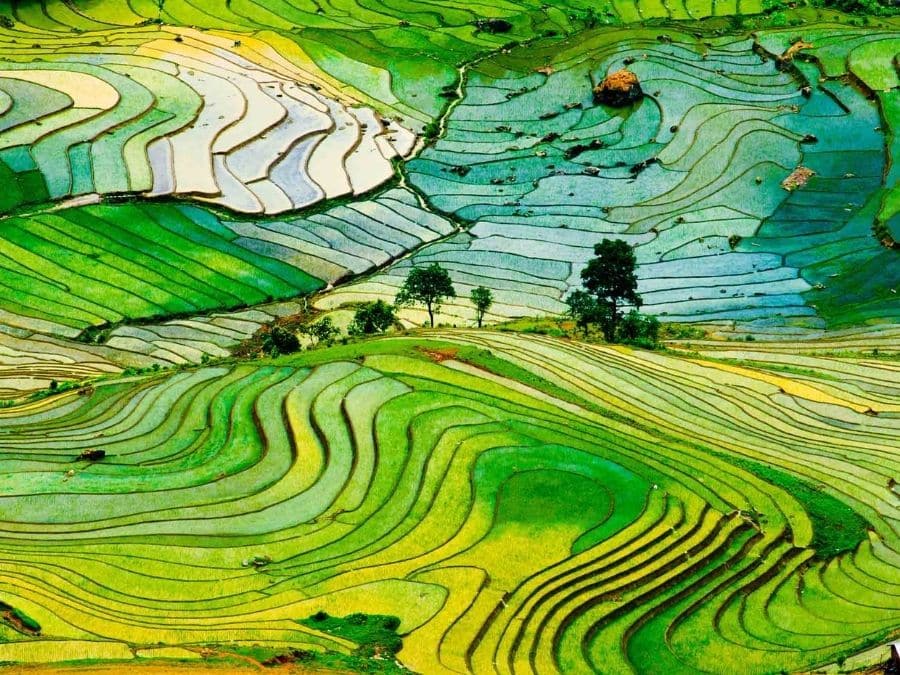 Rice Field Terraces in Japan HD Wallpaper - Wallpapers.net
