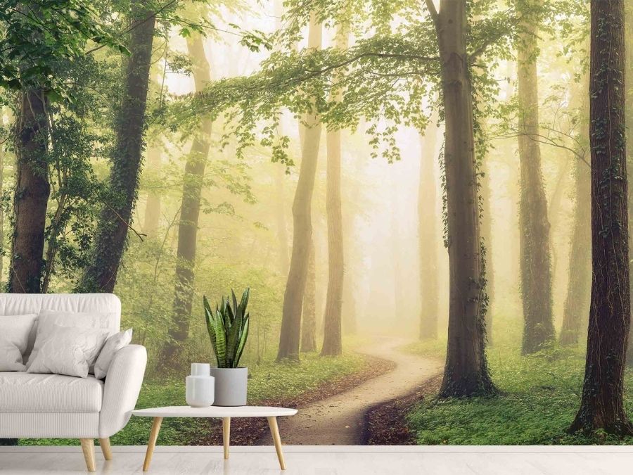 Sunshine Forest Wallpaper, as seen on the wall of this living room, is a photo mural of yellow diffused sunlight illuminating vine covered trees and a path from About Murals.