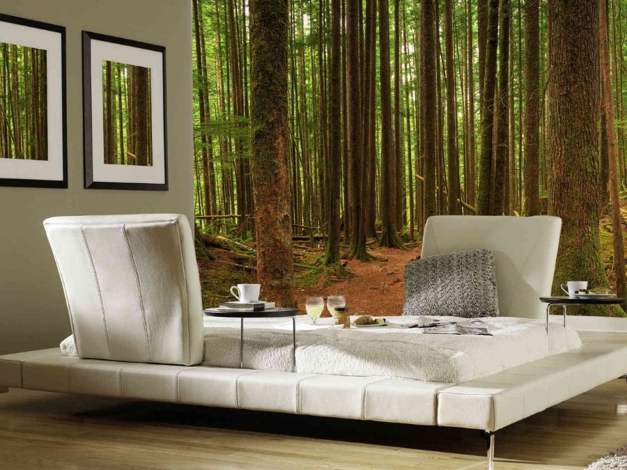 Trail Wallpaper, as seen on the wall of this living room, is a photo mural of a path under tall pine trees in the forest from About Murals.