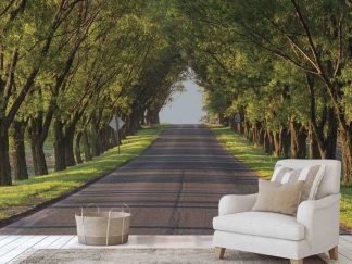 Tree Tunnel Wallpaper, as seen on the wall of this living room, is a photo mural of beautiful green trees lining a country road from About Murals.