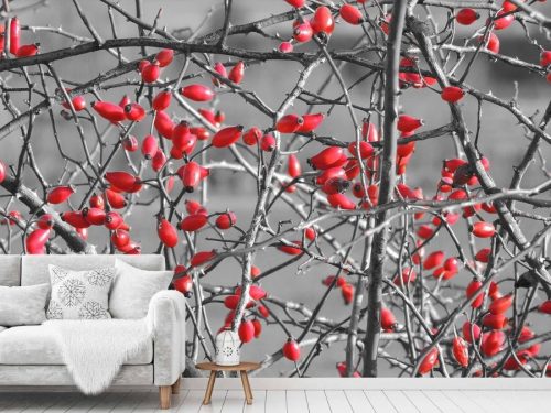 Winter Berry Wallpaper, as seen on the wall of this living room, is a photo mural of red rose berries against a grey background from About Murals.