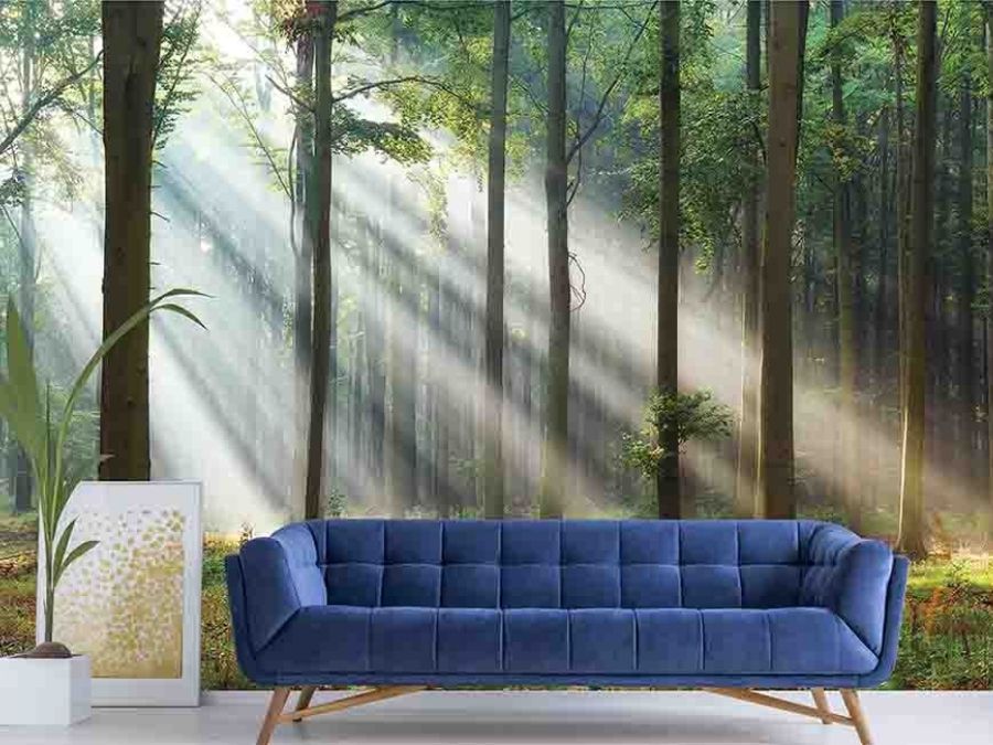 Wood Forest Wallpaper, as seen on the wall of this living room, is a photo mural of sunbeams shining through trees in the woods from About Murals.