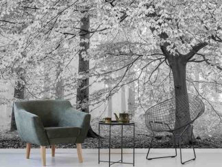 Black and White Trees Wallpaper, as seen on the wall of this living room, is a photo mural of leaf covered trees in a misty forest from About Murals.