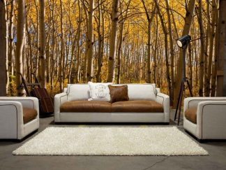 Brown Forest Wallpaper, as seen on the wall of this living room, is a photo mural of yellow aspen trees in an autumn forest from About Murals.