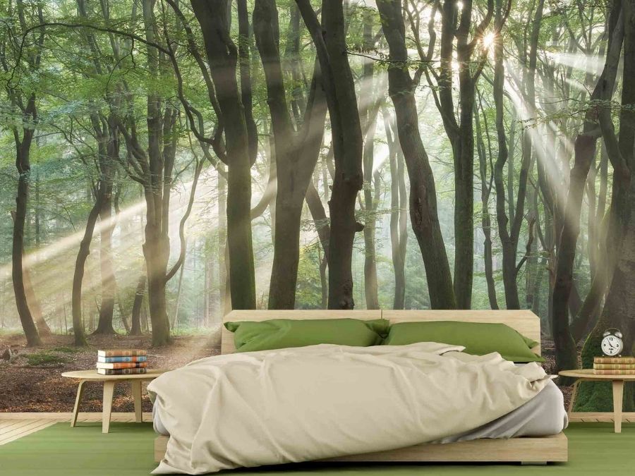 Calming Forest Wallpaper, as seen on the wall of this bedroom, is a photo mural of sunbeams shining through green curvy trees in the woods from About Murals.