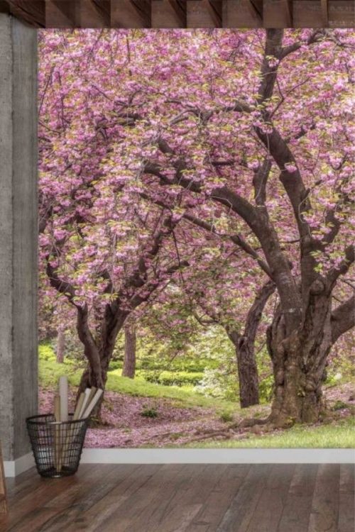 Cherry Blossom Tree Wallpaper, as seen on the wall of this office, is a photo mural of pink trees blooming in New York's Central Park from About Murals.