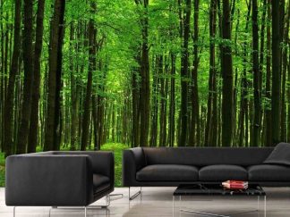 Emerald Forest Wallpaper, as seen on the wall of this living room, is a photo mural of a path under green trees from About Murals.