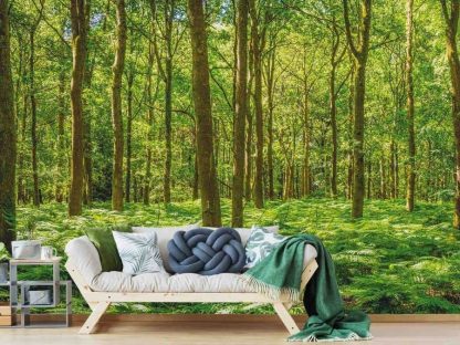 Fern Forest Wallpaper, as seen on the wall of this living room, is a photo mural of lush fronds on the floor of sunkissed woods from About Murals.
