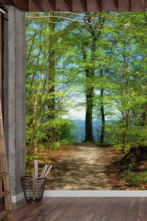 Forest Sky Wallpaper, as seen on the wall of this office, is a photo mural of a blue sky shining through green spring trees onto a path from About Murals.
