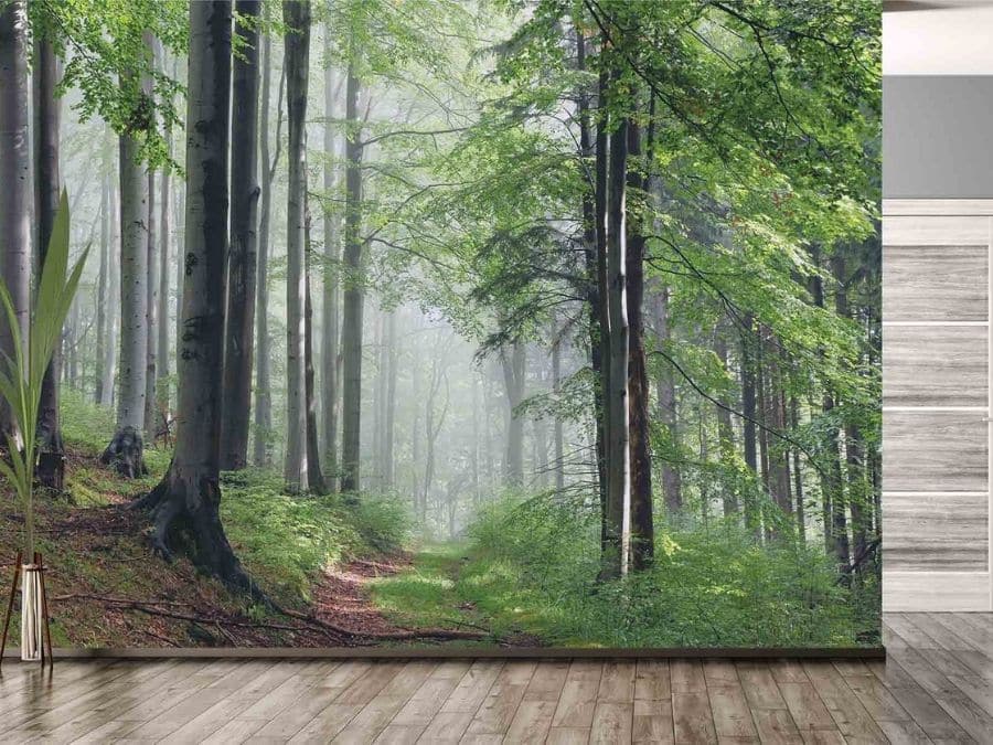 Large Forest Wallpaper, as seen on the wall of this room, is a photo mural of an old path meandering through green trees into a foggy background from About Murals.
