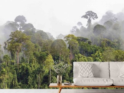 Misty Rainforest Wallpaper, as seen on the wall of this living room, is a photo mural of fog settling over a tropical forest in Malaysia from About Murals.
