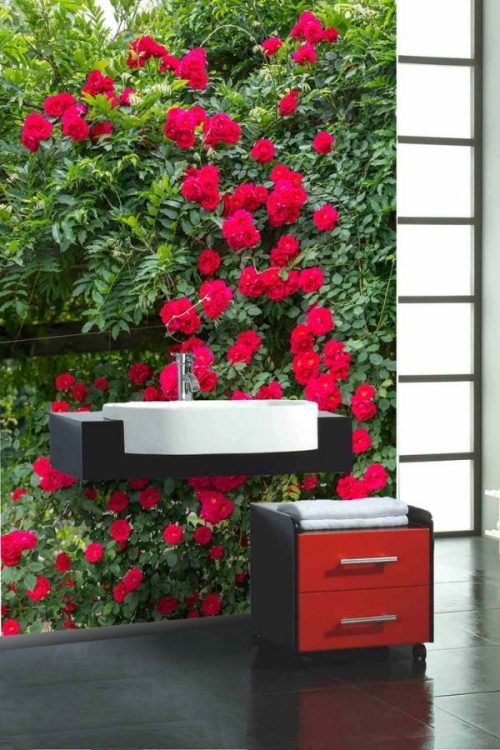 Rose Garden Wallpaper, as seen on the wall of this bathroom, is a photo mural of red roses cascading over a glass balcony against green foliage from About Murals.