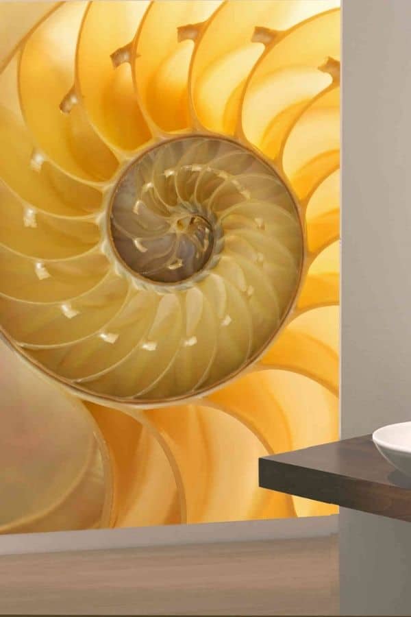 Seashell Wallpaper, as seen on the wall of this hallway, is a photo mural of a yellow tropical nautilus shell from About Murals.