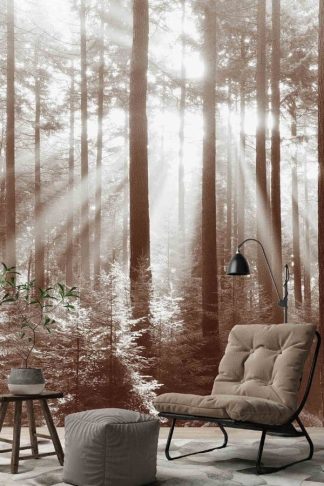 Sun Forest Wallpaper, as seen on the wall of this living room, is a photo mural of sunlight beaming through pine trees in a forest from About Murals.