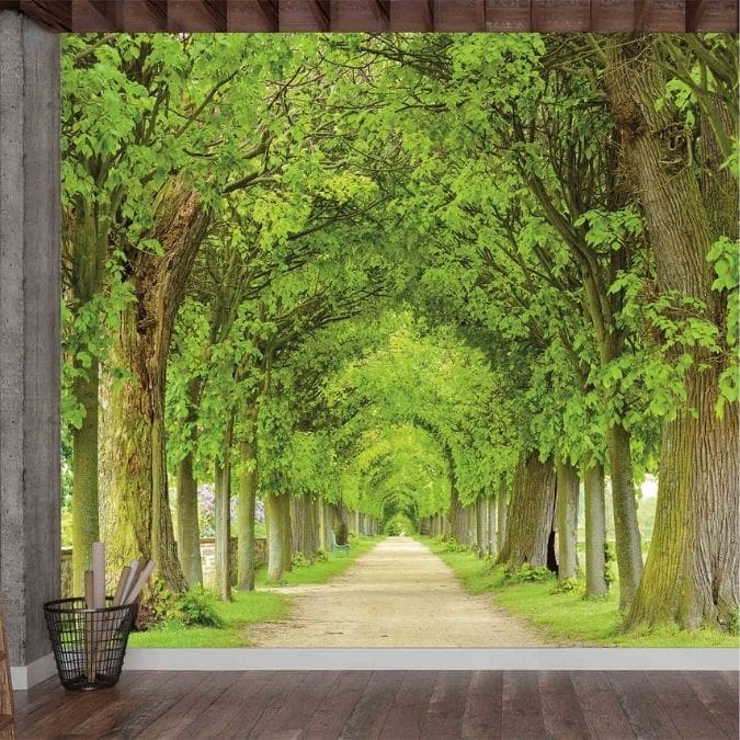 Tree Path Wallpaper, as seen on the wall of this room, is a photo mural of the Linden Tunnel, Hundisburg Castle Park, Germany from About Murals.