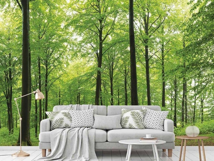 Woodland Forest Wallpaper, as seen on the wall of this living room, is a photo mural of a bright sky illuminating green trees in a forest field from About Murals.