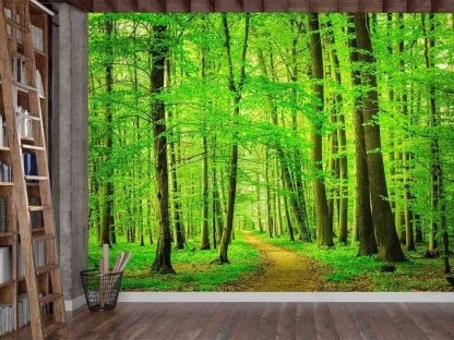 Beech Tree Wallpaper, as seen on the wall of this living room, is a photo mural of a path meandering under green leafy trees in a forest from About Murals.