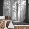 Black and White Woods Wallpaper, as seen on the wall of this bedroom, is a photo mural of sunbeams shining through grey trees in a misty forest from About Murals.