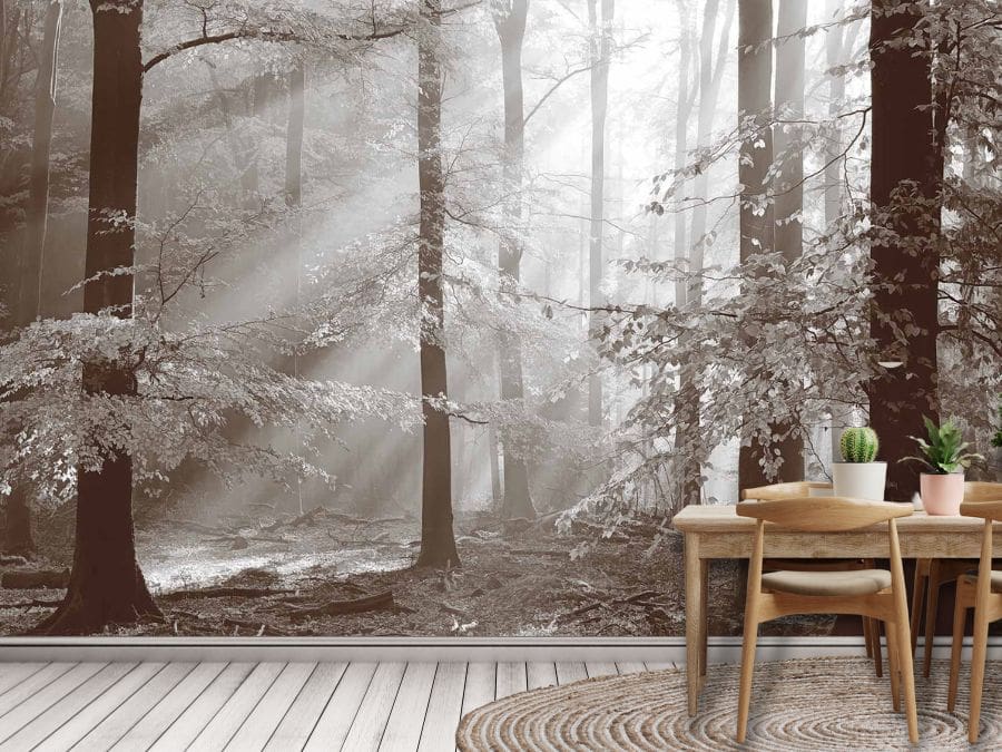 Brown Autumn Wallpaper, as seen on the wall of this kitchen, is a photo wallpaper of sunbeams shining through brown trees with fall leaves in a forest from About Murals.