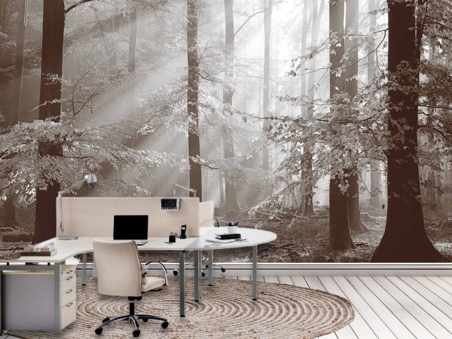 Brown Autumn Wallpaper, as seen on the wall of this office, is a photo mural of sunbeams shining through trees with textured fall leaves in a forest from About Murals.