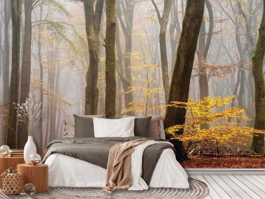 Foggy Fall Wallpaper, as seen in this bedroom, is a photo wall mural of yellow autumn trees in a forest full of mist from About Murals.