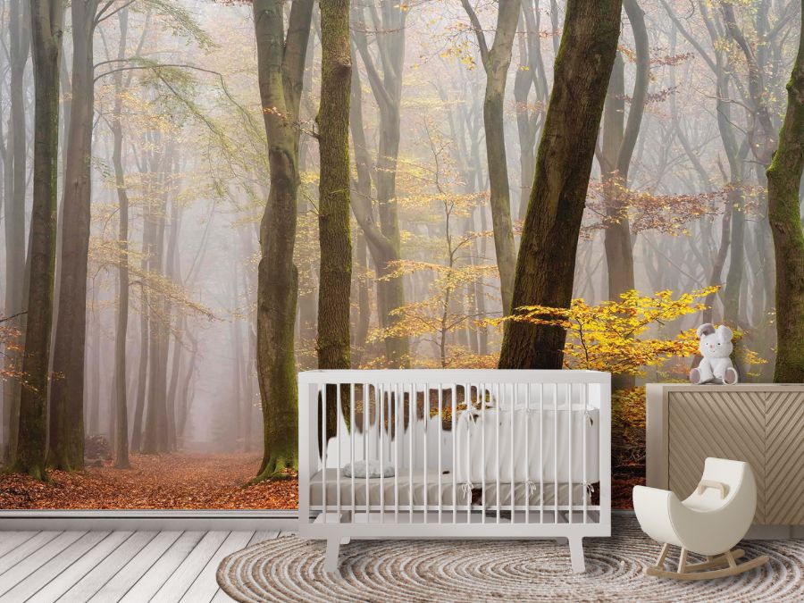 Foggy Fall Wallpaper, as seen on the wall of this nursery, is a photo wallpaper of yellow trees in a misty autumn forest from About Murals.