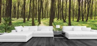 Forest Landscape Wallpaper, as seen on the wall of this living room, is a large photo mural of freshly budded green trees in a spring forest from About Murals.