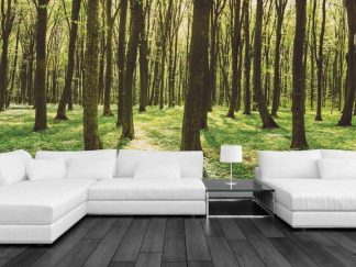Forest Landscape Wallpaper, as seen on the wall of this living room, is a large photo mural of freshly budded green trees in a spring forest from About Murals.