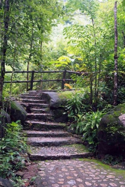 Forest Stairs Wallpaper is a wall mural of natural stone stairs in green nature from About Murals.