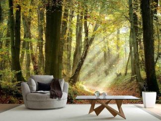 Forest Sunlight Wallpaper, as seen on the wall of this living room, is a photo mural of sun rays shining through green autumn trees onto a leafy path from About Murals.