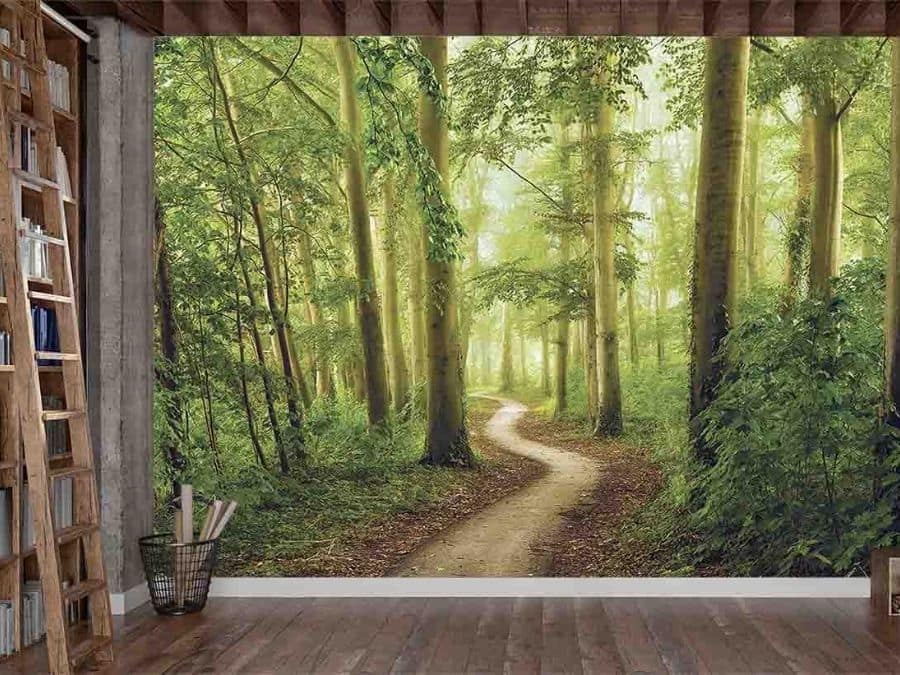 Forest Trail Wallpaper, as seen on the wall of this office, is a photo mural of a path winding through green, vine covered trees in the woods from About Murals.