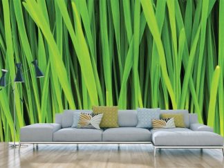 Green Grass Wallpaper for walls, as seen in this living room, is a realistic photo mural of tall blades of grass creating tons of texture on walls from About Murals.