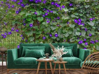 Morning Glory Wallpaper, as seen on the wall of this purple and green living room, is a photo mural of flowers on a vine climbing up a fence from About Murals.