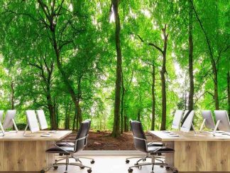 Panoramic Forest Wallpaper, as seen on the wall of this office, is a photo mural of vibrant green trees in the woods from About Murals.