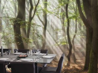 Sun Rays Wallpaper, as seen on the wall of this dining room, is a photo mural of sunshine beaming through heavenly trees in the woods from About Murals.