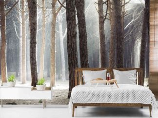 Sunny Forest Wallpaper, as seen on the wall of this bedroom, is a photo mural of white sun illuminating pine trees in the woods from About Murals.