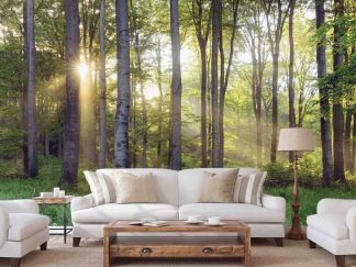Sunrise Forest Wallpaper, as seen on the wall of this living room, is a photo mural of sunshine beaming through green beech trees in the morning from About Murals.