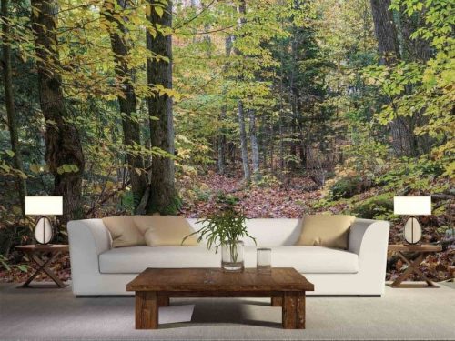 Wild Forest Wallpaper, as seen on the wall of this living room, is a high resolution photo mural of a leafy path in an autumn forest from About Murals.