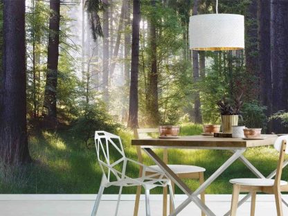 Forest Grass Wallpaper, as seen on the wall of this dining room, is a photo mural of sun rays shining through pine trees in a green forest from About Murals.