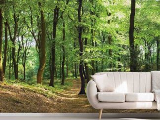 Hiking Trail Wallpaper, as seen on the wall of this living room, is a photo mural of tall green trees lining a small path in a peaceful forest from About Murals.