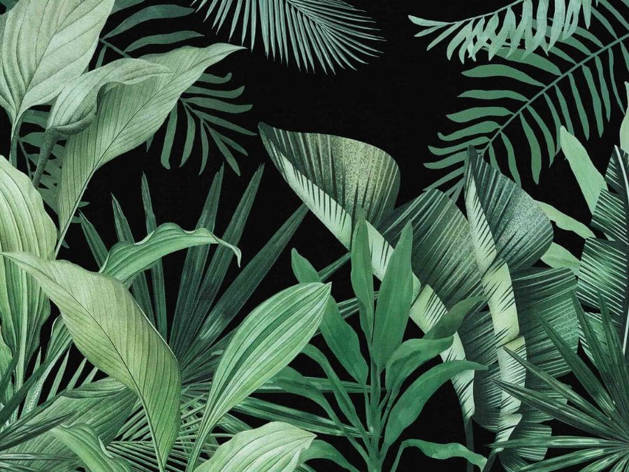 Tropical Leaves in Subtle Background Wallpaper Design  lifencolors