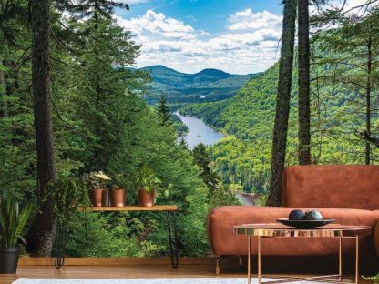 Mountain River Wallpaper, as seen on the wall of this living room, is a photo mural of a river in Jacques Cartier National Park, Quebec from About Murals.