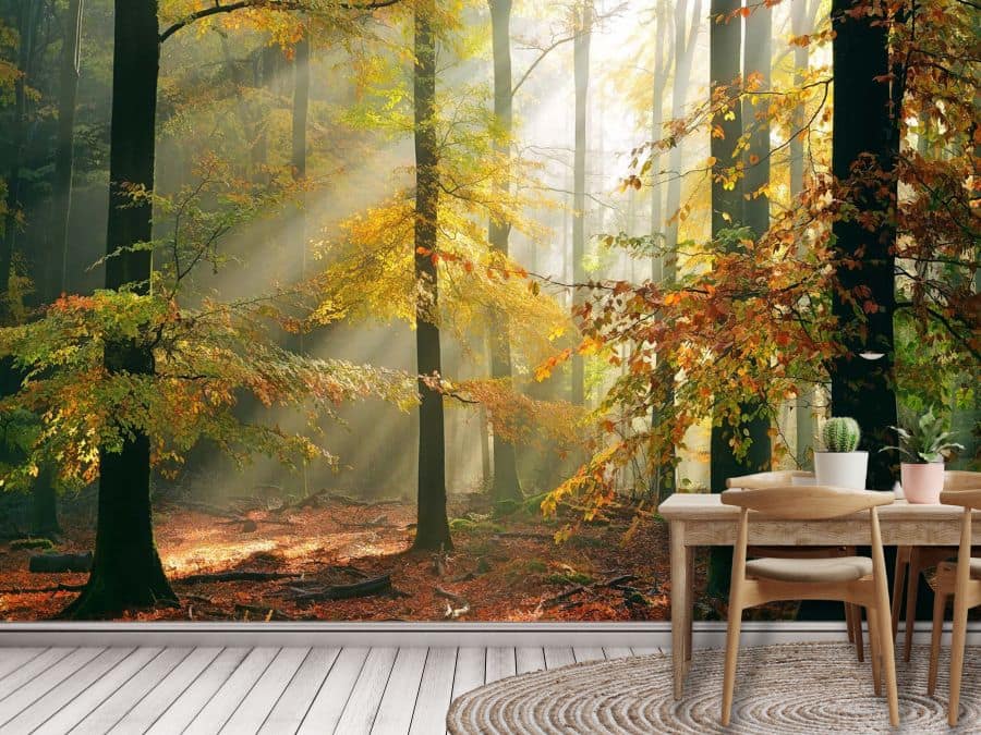 Sunny Autumn Wallpaper, as seen on the wall of this eat-in kitchen, is a photo wallpaper of sunbeams shining through yellow fall trees in a forest from About Murals.