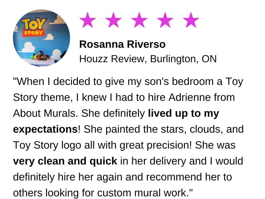 A review of a local wall artist, Adrienne of About Murals, who painted a mural in Burlington, Ontario.
