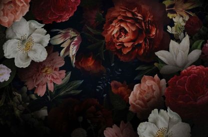 Dutch Floral Wallpaper is a wall mural with old yet dramatic peony, rose and lily flowers on a black backround from About Murals.