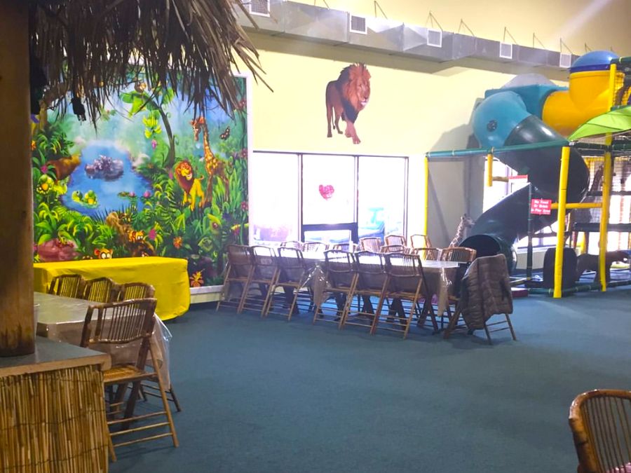 Jungle theme indoor playground using the best children's wall murals from About Murals.