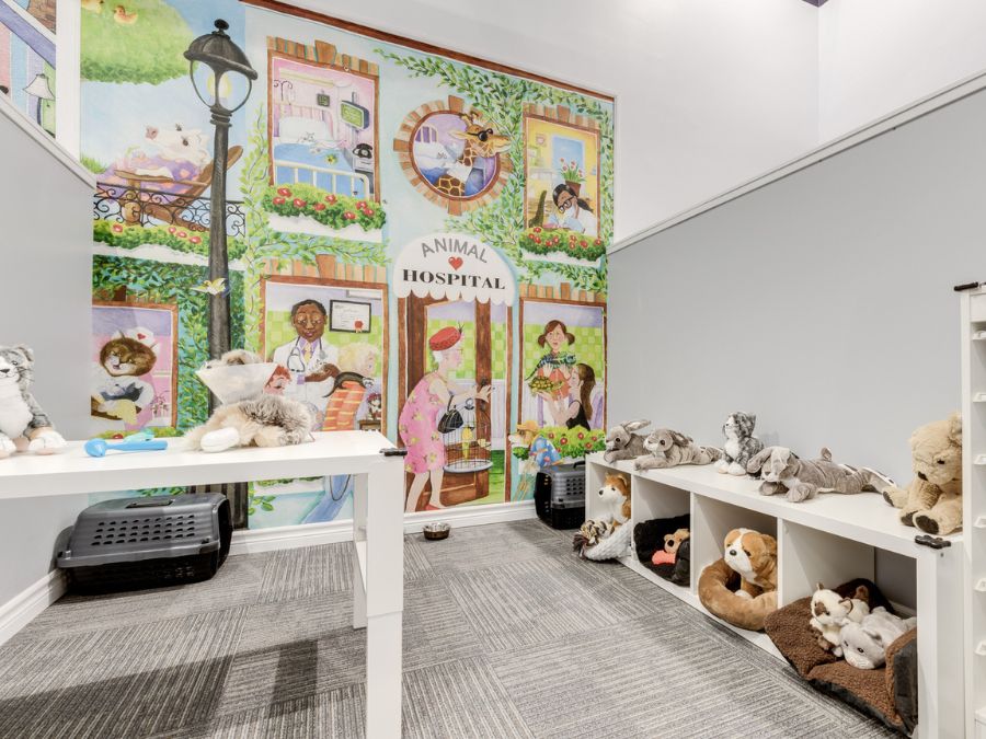 Indoor soft playground wallpaper mural for veterinarian dramatic play featuring diverse people and animals at an animal hospital, behind stuffies and pretend medical equipment for kids.